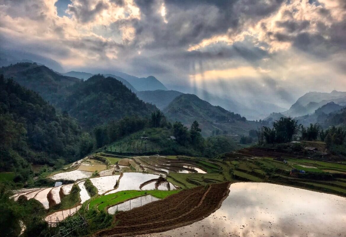 Vietnam tour guide